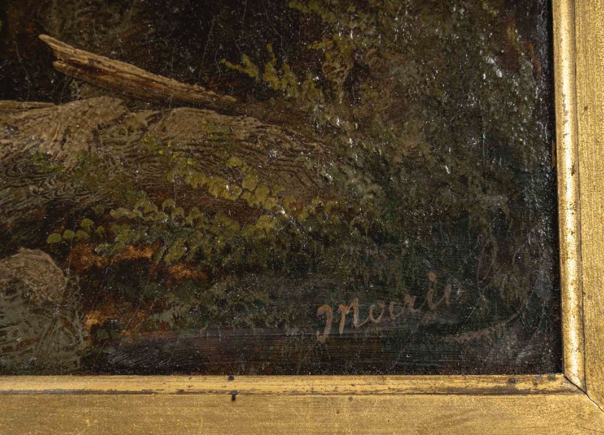 Tableau huile sur toile, sous-bois, fin du XIXe siècle — 9