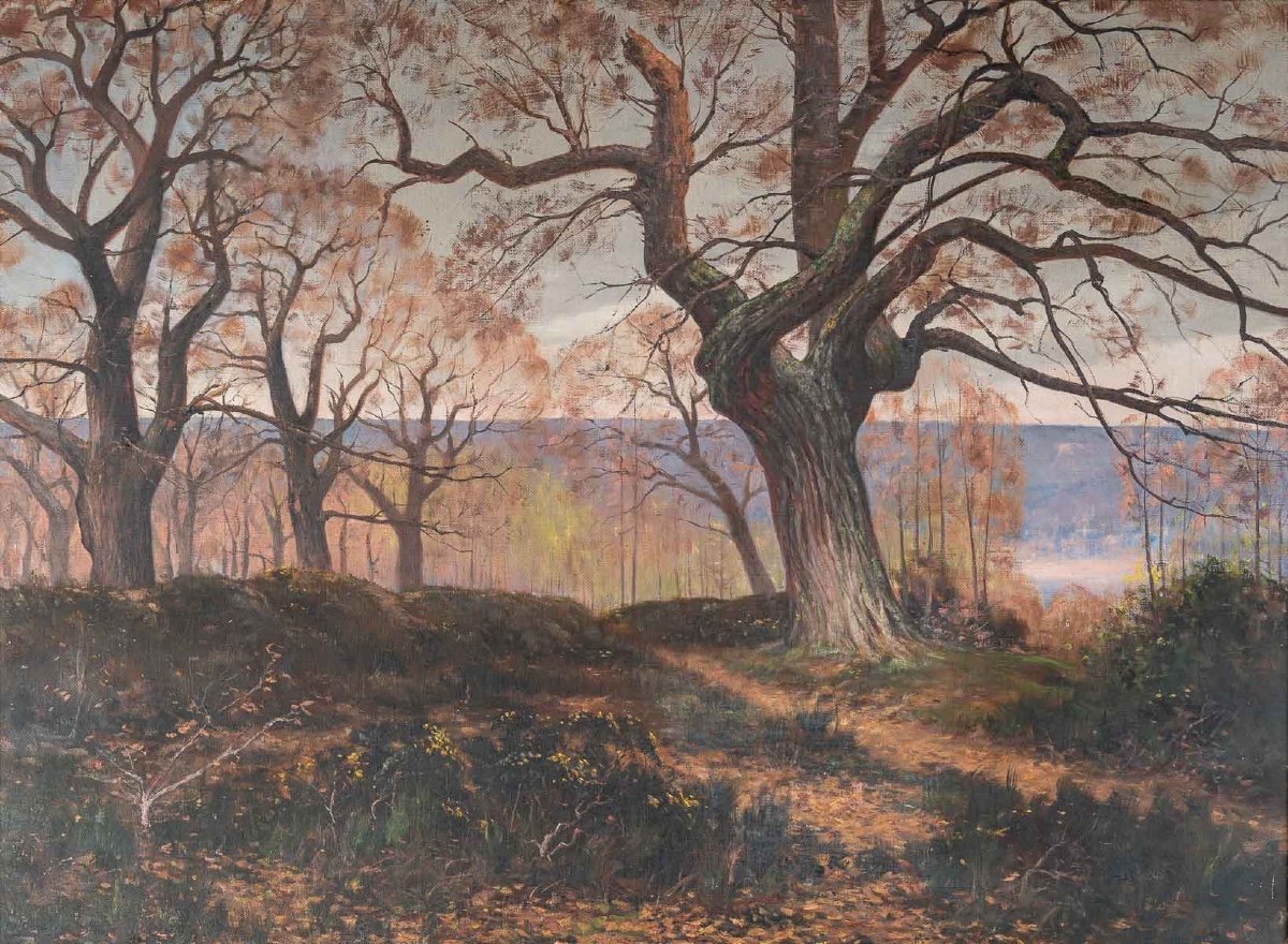 Paire de tableaux huile sur toile avec Cadres en bois doré fin du XIXe siècle — 4