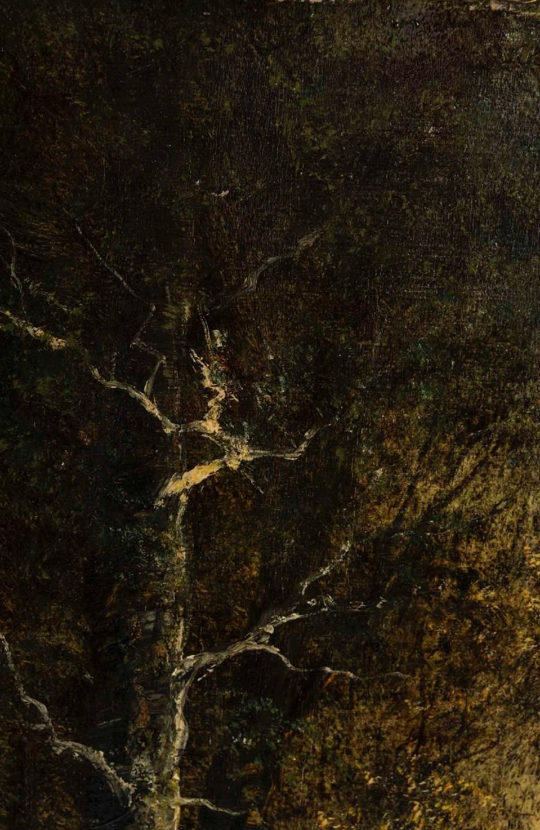 Une paire de tableaux sous-bois, fin du XIXe siècle — 6