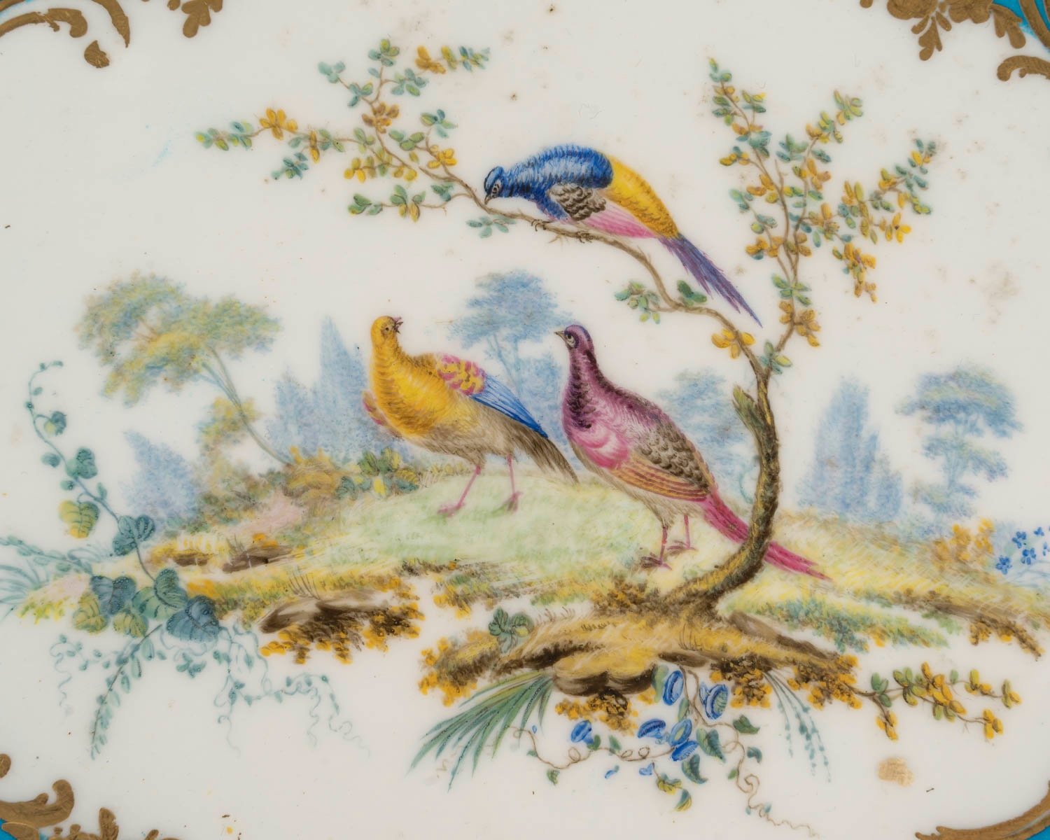 Une coupe en porcelaine de Sèvres, XVIIIe siècle — 17