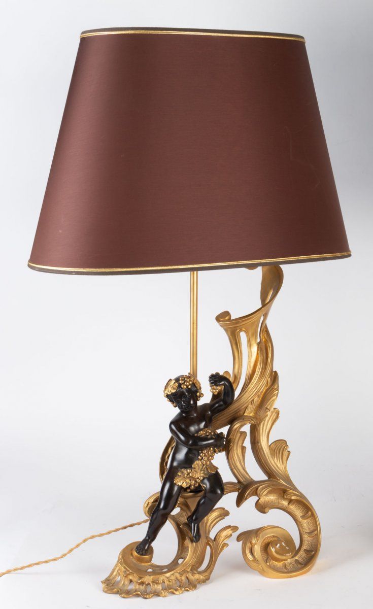 Paire de Chenets Montés en lampes époque XIXe — 3