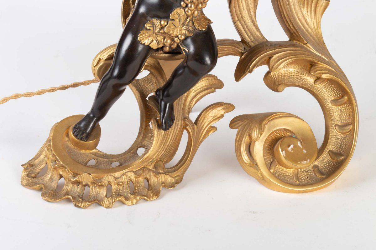 Paire de Chenets Montés en lampes époque XIXe — 7