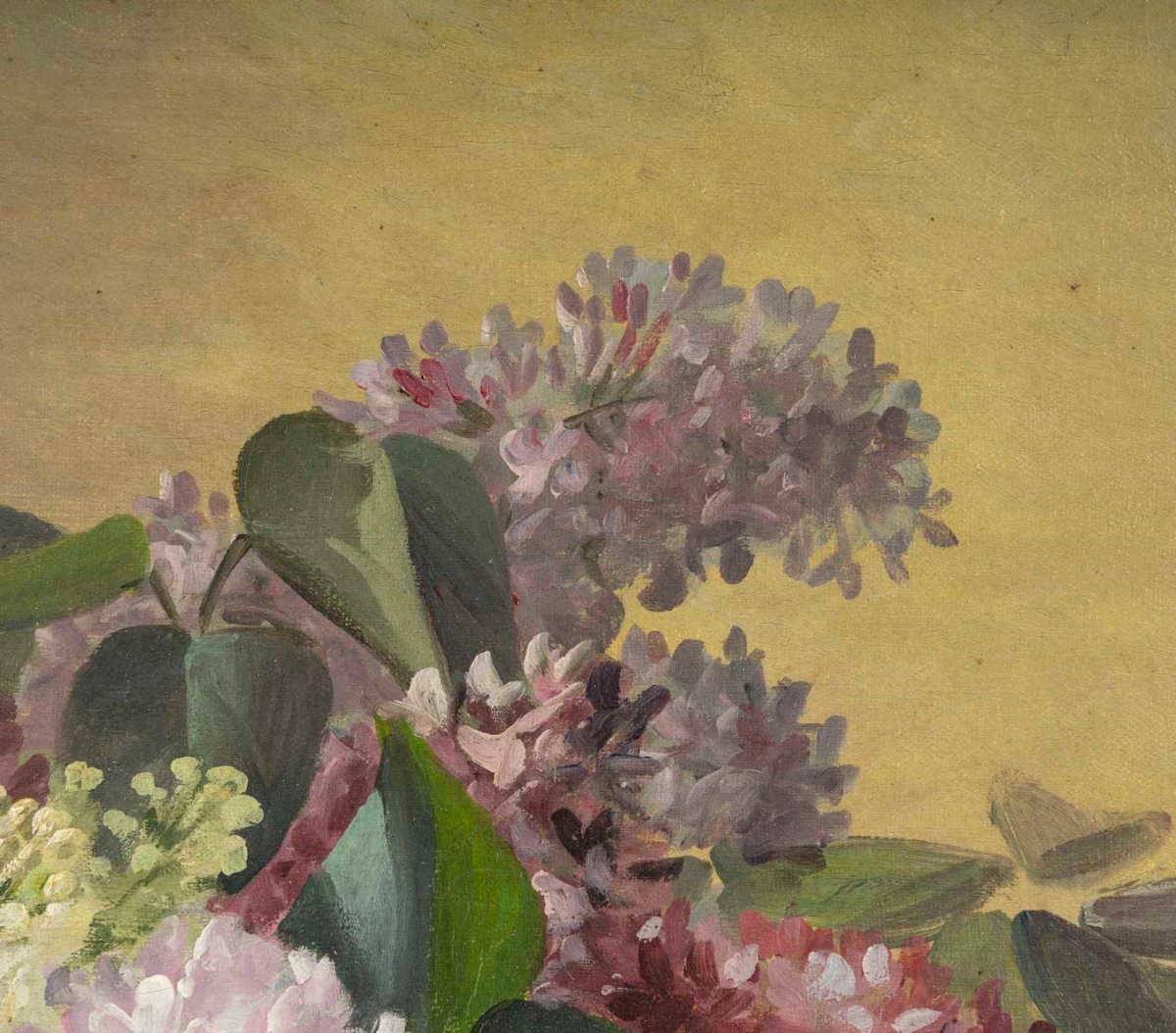 Un tableau de fleurs, Hortensia - SAVAROL fin du XIXe siècle — 10