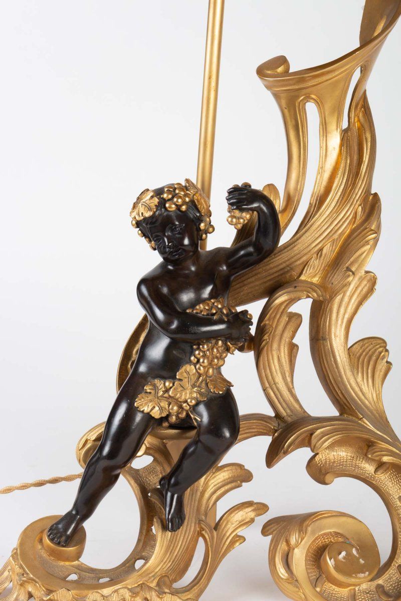 Paire de Chenets Montés en lampes époque XIXe — 5