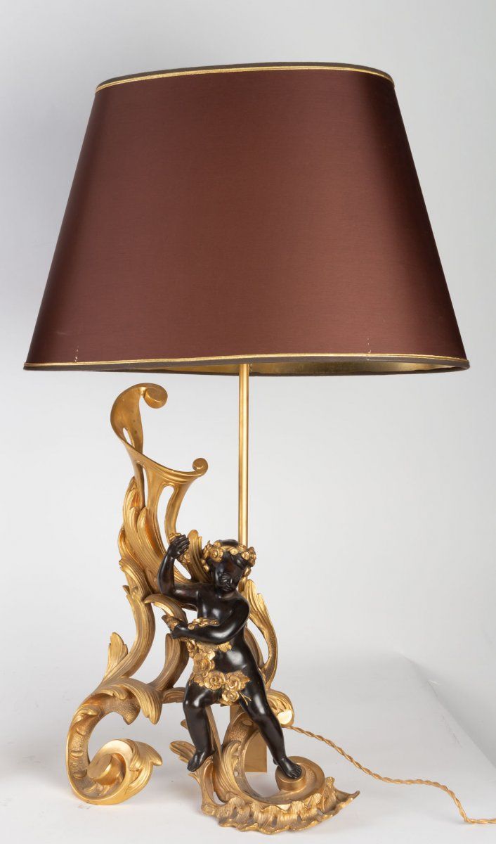 Paire de Chenets Montés en lampes époque XIXe — 4