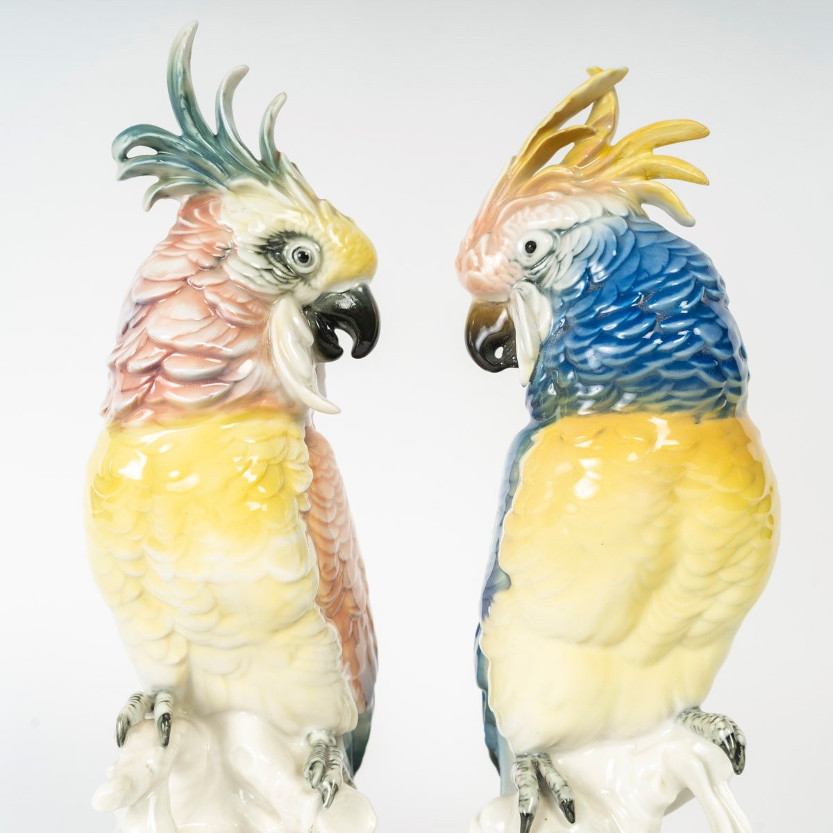 Une paire de sujets en porcelaine deux perroquets Manufacture SAXE - Karl Ens Volkstedt, — 4