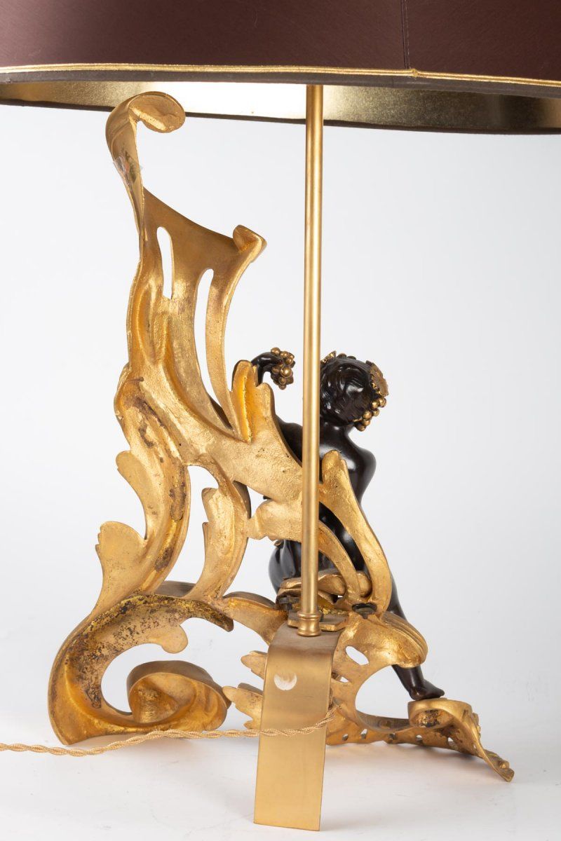 Paire de Chenets Montés en lampes époque XIXe — 6