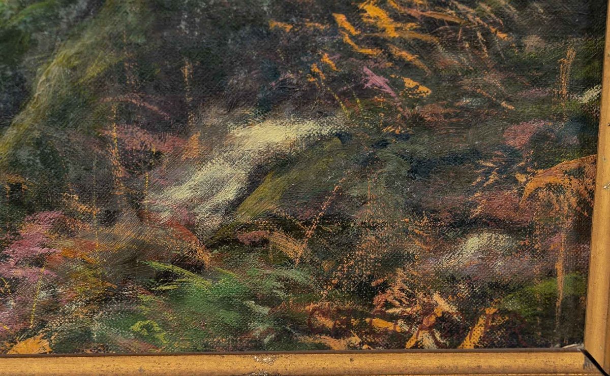 Paire de tableaux huile sur toile avec Cadres en bois doré fin du XIXe siècle — 9