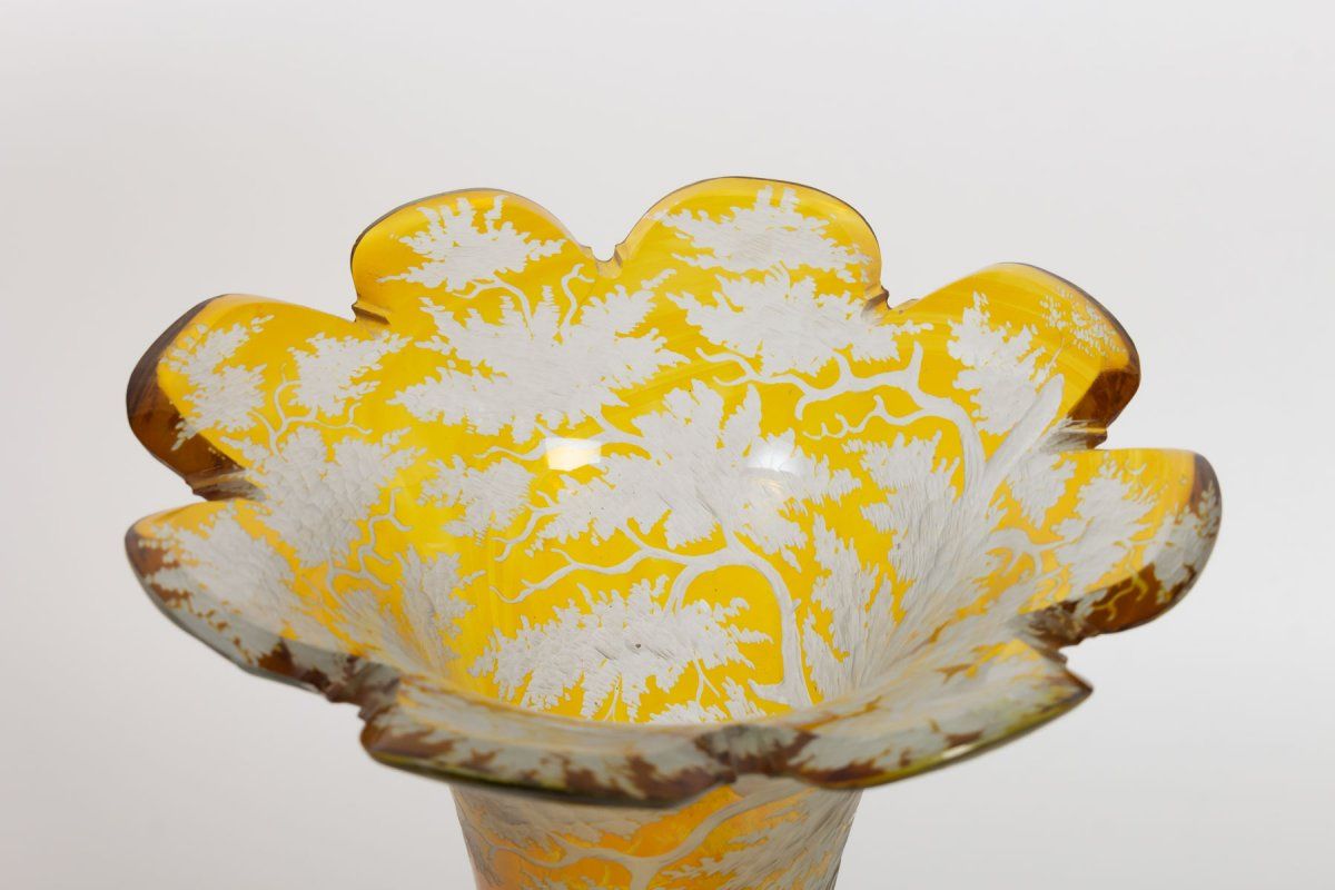 Paire de vases en cristal de Bohême Grave XIXe siècle — 5