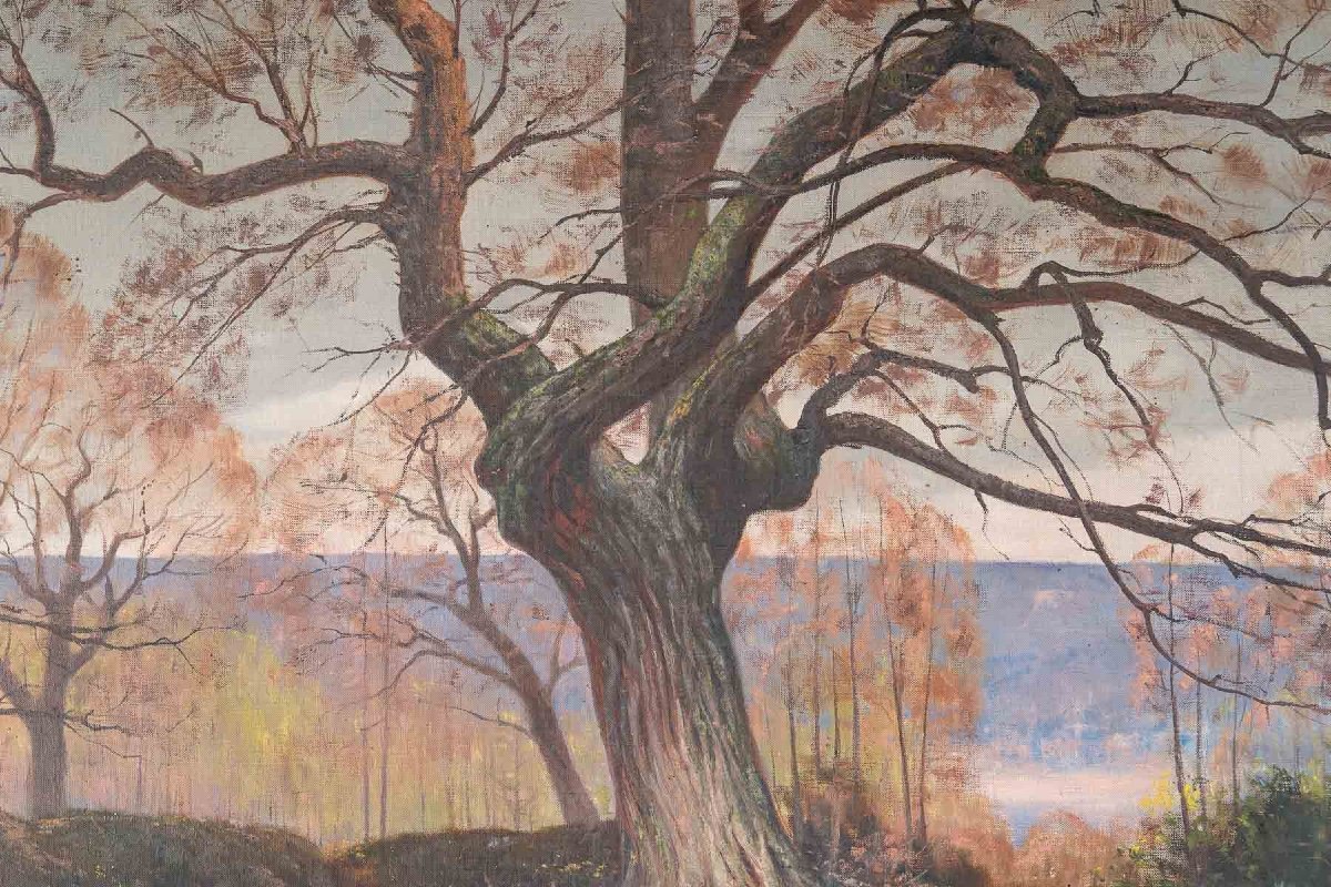 Paire de tableaux huile sur toile avec Cadres en bois doré fin du XIXe siècle — 10