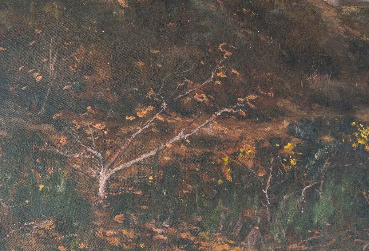 Paire de tableaux huile sur toile avec Cadres en bois doré fin du XIXe siècle — 12