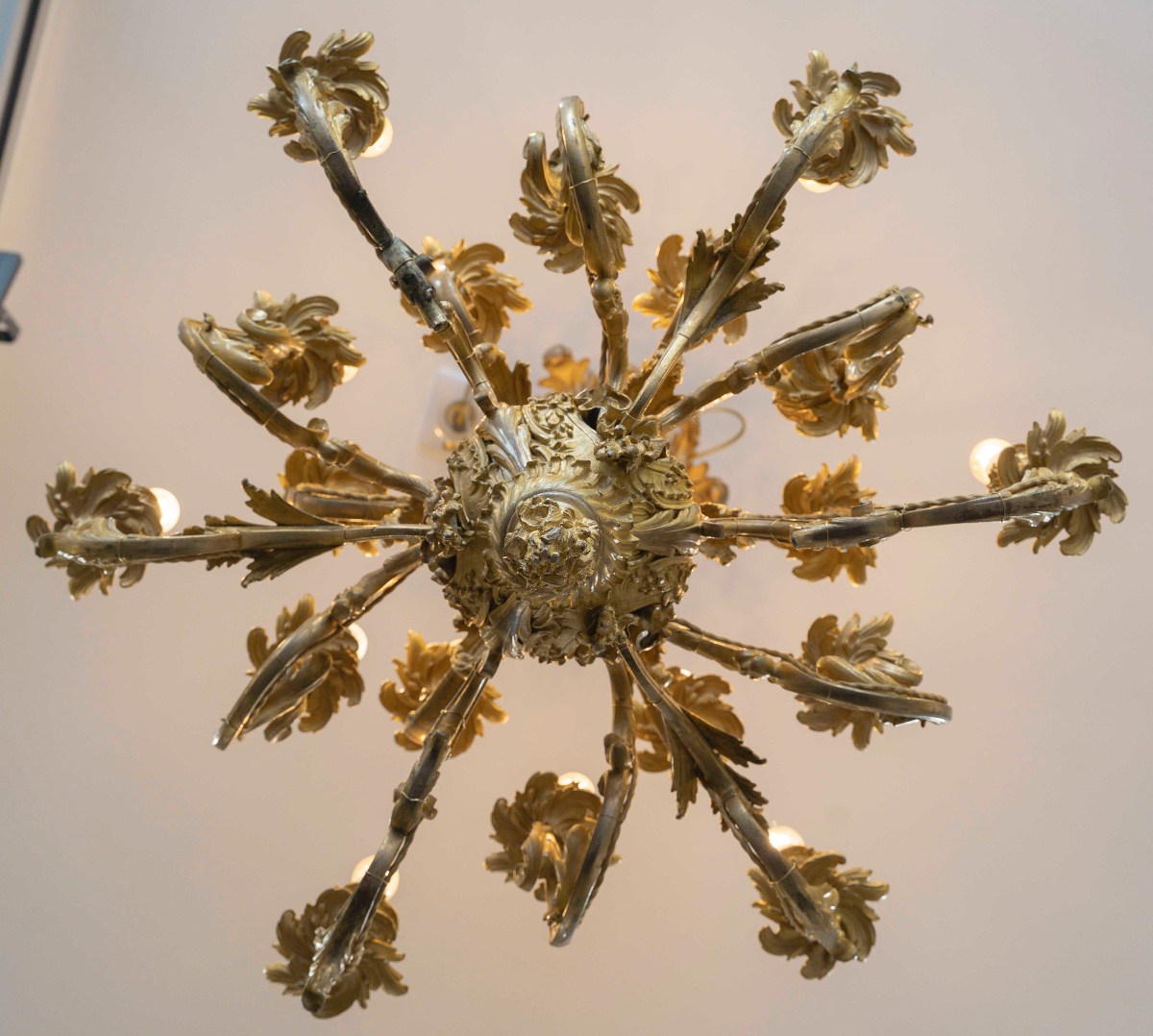 Paire de lustres en bronze doré de style Louis XV époque fin du XIXe siècle — 7