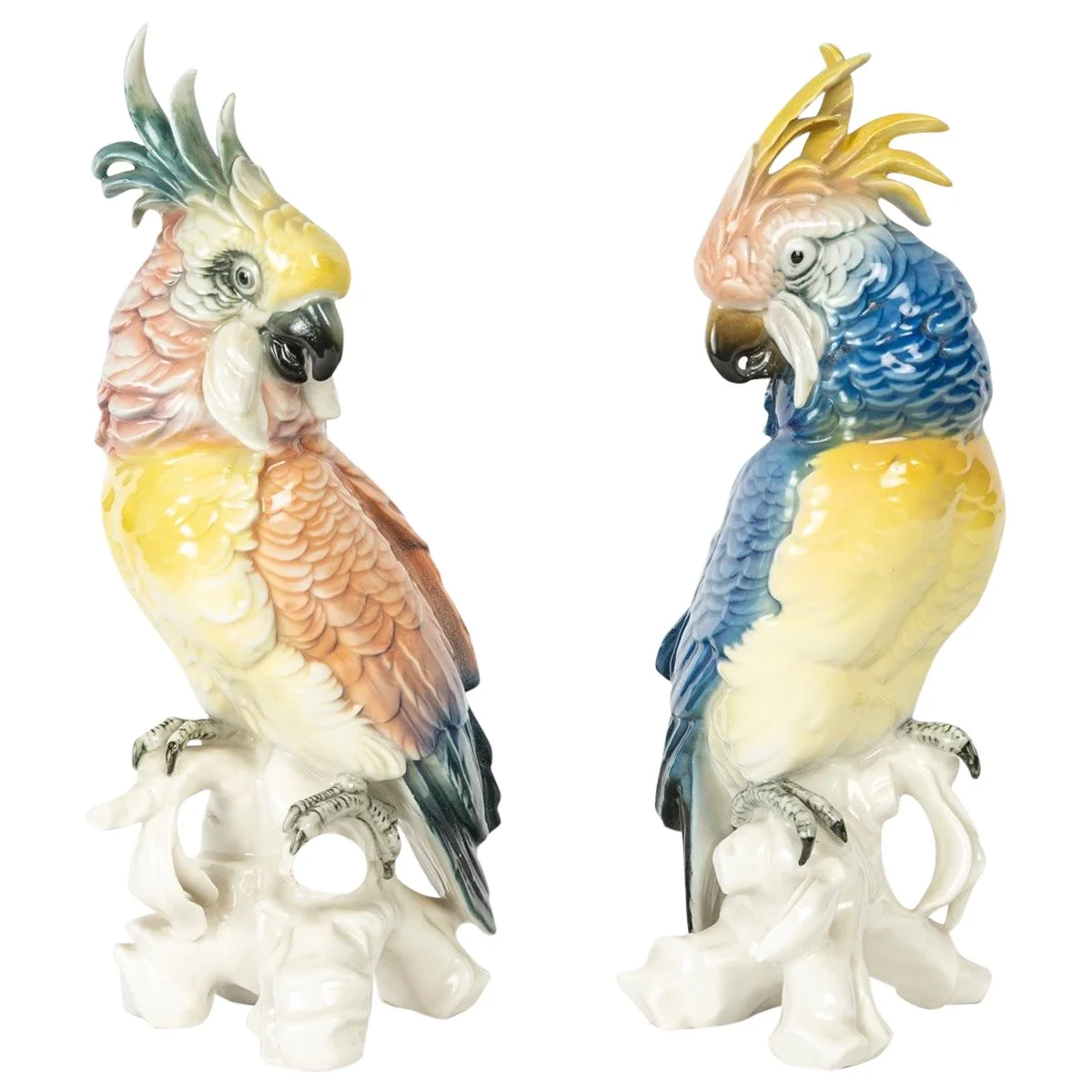 Une paire de sujets en porcelaine deux perroquets Manufacture SAXE - Karl Ens Volkstedt,